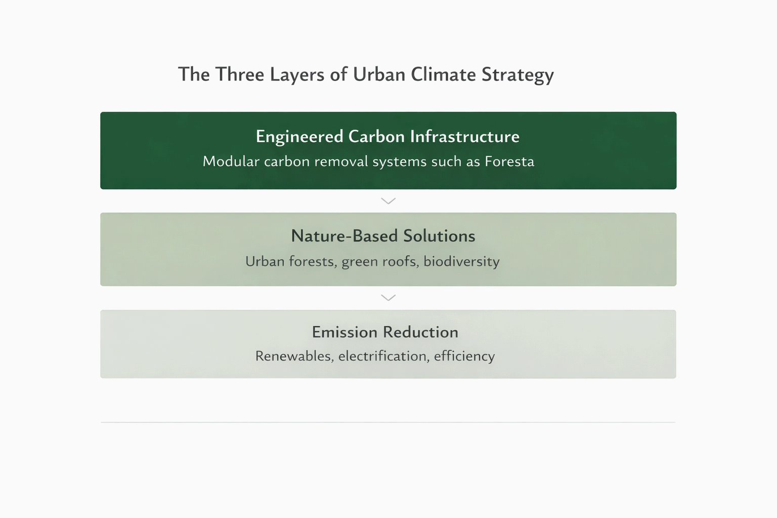 The Future of Urban Carbon Infrastructure in Europe | Foresta Insights